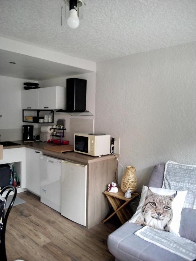 Saint Lary Ski, Rando, Thermes, Balades Et Repos ! Apartman Kültér fotó